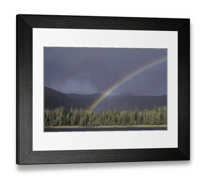 Framed Print : NA, Canada, British Columbia, Queen Charlotte Islands Landscape Framed Print : NA, Canada, British Columbia, Queen Charlotte Islands Landscape