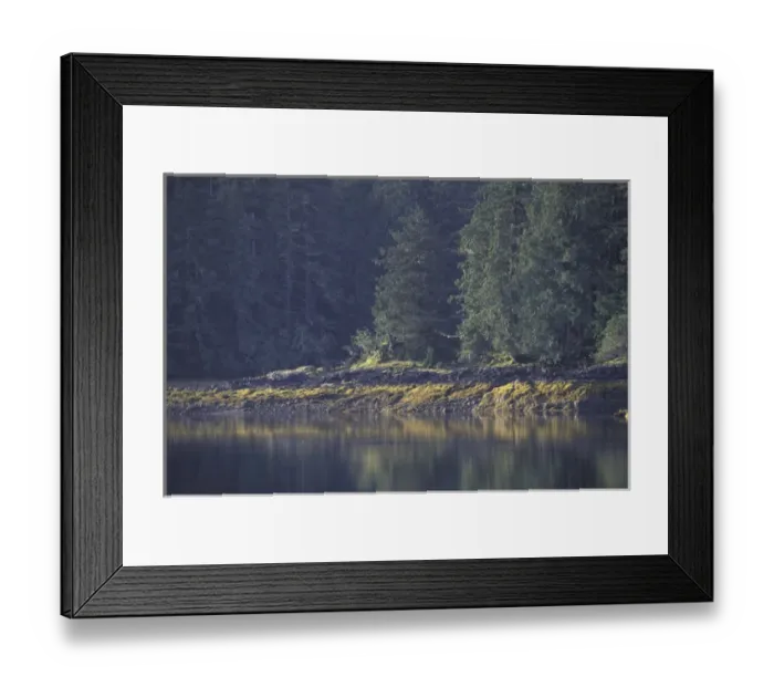 Framed Print : NA, Canada, Queen Charlotte Islands Landscape Framed Print : NA, Canada, Queen Charlotte Islands Landscape