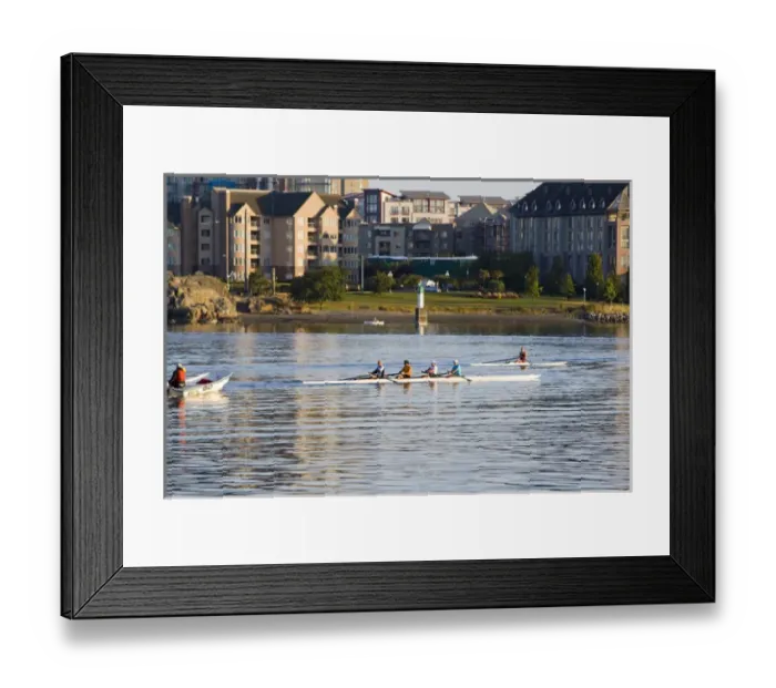 Framed Print : Rowing session at Victoria British Columbia Inner Harbour in Canada Framed Print : Rowing session at Victoria British Columbia Inner Harbour in Canada