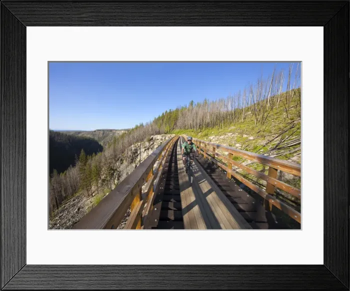 Framed Print : Chuck Haney rides across trestle in Myra Canyon on the Kettle Valley Railway bike