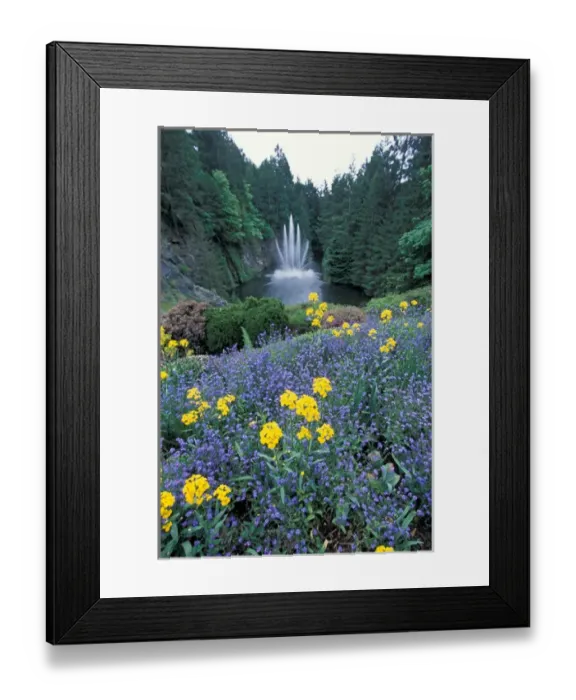 Framed Print : North America, Canada, British Columbia, Victoria, Butchart Gardens. Ross fountain Framed Print : North America, Canada, British Columbia, Victoria, Butchart Gardens. Ross fountain