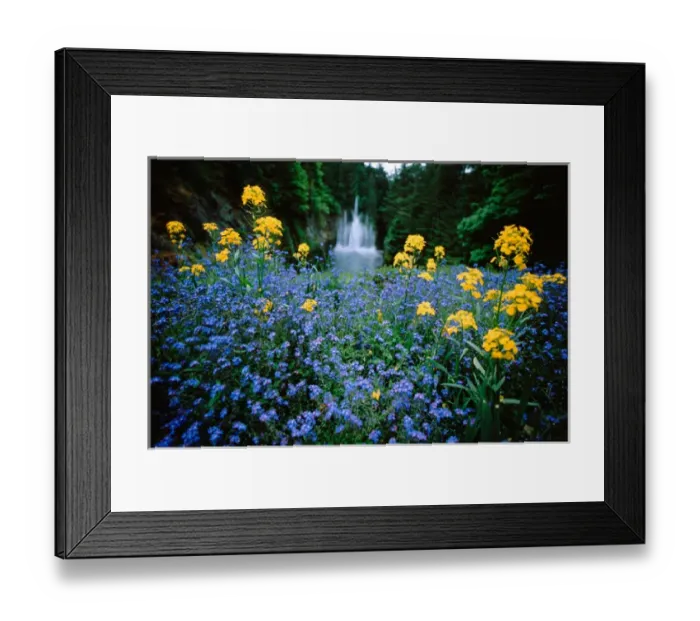 Framed Print : North America, Canada, British Columbia, Vancouver Island, Victoria, Butchart Gardens Framed Print : North America, Canada, British Columbia, Vancouver Island, Victoria, Butchart Gardens