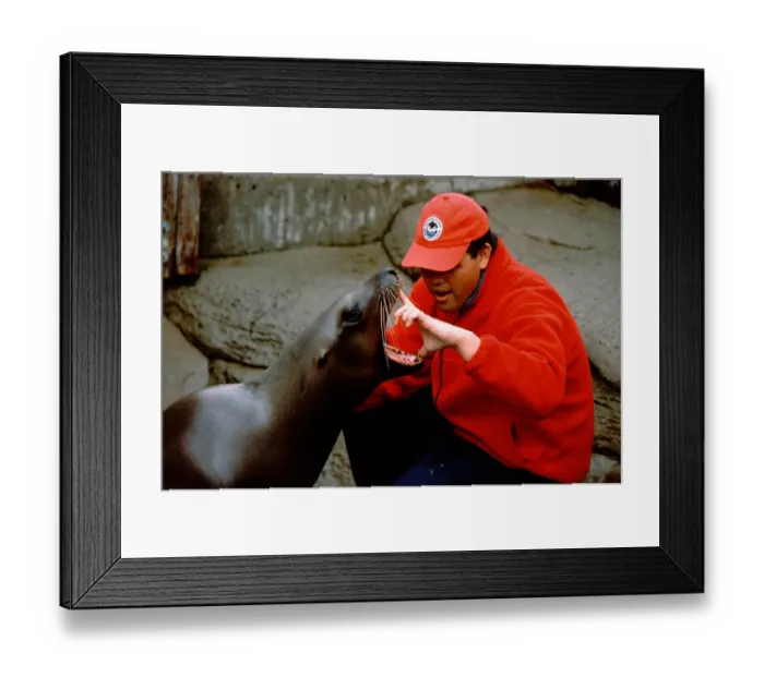 Framed Print : North America, Canada, British Columbia, Vancouver, Vancouver Aquarium. Aquarium Framed Print : North America, Canada, British Columbia, Vancouver, Vancouver Aquarium. Aquarium