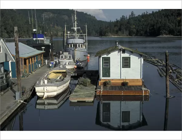 North America, Canada, British Columbia, Vancouver Island View of Genoa Bay dock