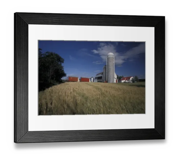 Framed Print : North America, Canada, Quebec, Gaspe Peninsula (Gaspesie) Wheat farm Framed Print : North America, Canada, Quebec, Gaspe Peninsula (Gaspesie) Wheat farm