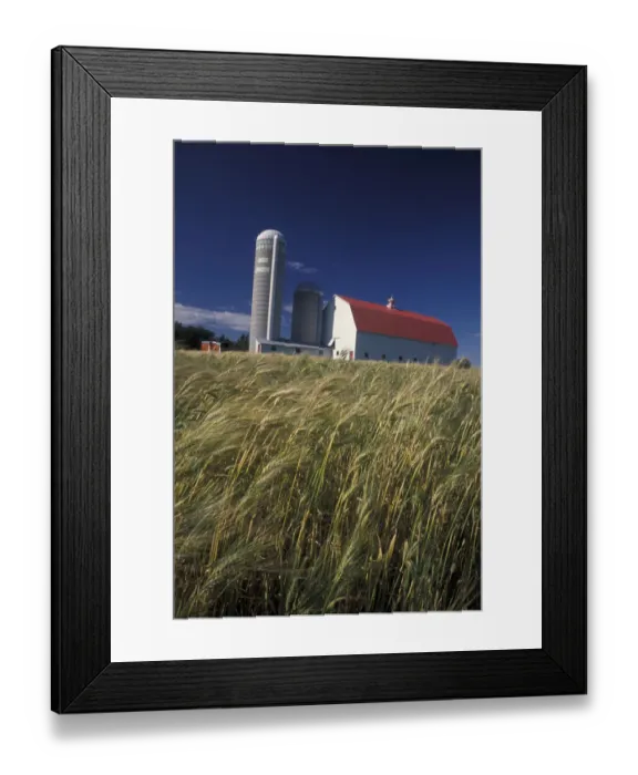 Framed Print : North America, Canada, Quebec, Gaspe Peninsula (Gaspesie) Barn and silo