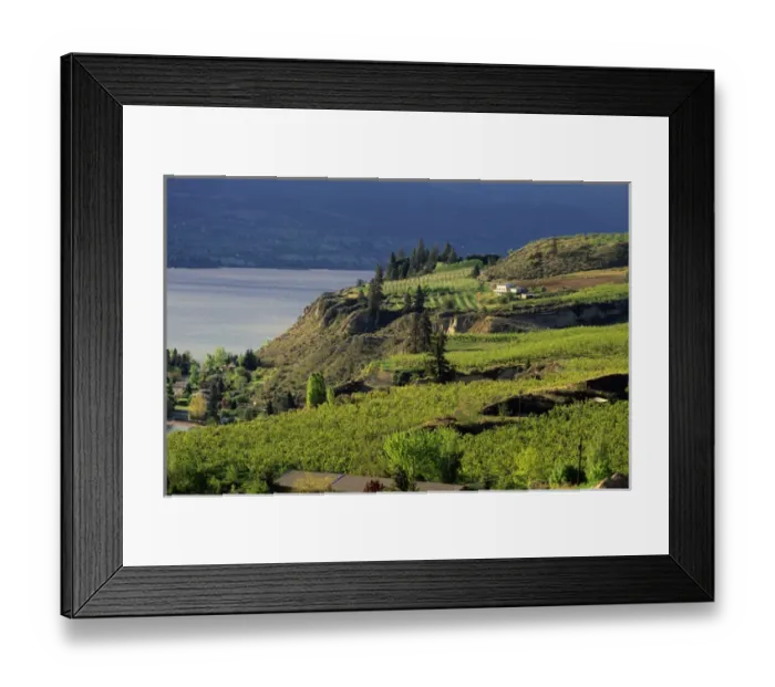 Framed Print : Apple and fruit orchards in Okanagan Valley, British Columbia. house, hill Framed Print : Apple and fruit orchards in Okanagan Valley, British Columbia. house, hill