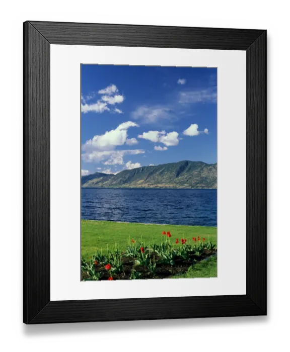 Framed Print : Okanagan Lake near Kelowna, British Columbia. okangan lake, water, kelowna Framed Print : Okanagan Lake near Kelowna, British Columbia. okangan lake, water, kelowna
