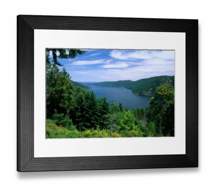 Framed Print : Saanich Inlet, Vancouver Island, British Columbia. saanich, inlet, forest Framed Print : Saanich Inlet, Vancouver Island, British Columbia. saanich, inlet, forest