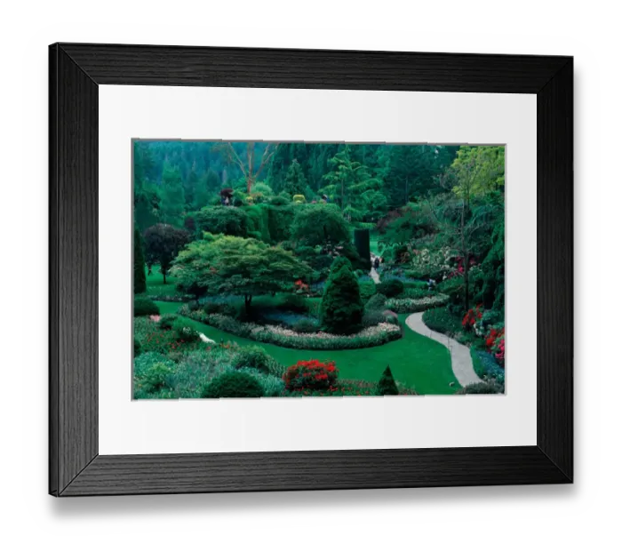 Framed Print : Butchart Gardens, British Columbia, Canada Framed Print : Butchart Gardens, British Columbia, Canada
