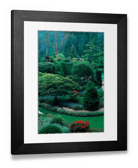 Framed Print : Butchart Gardens, British Columbia, Canada Framed Print : Butchart Gardens, British Columbia, Canada