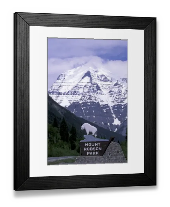 Framed Print : North America, Canada, British Columbia. Mt. Robson towers above the Yellowhead highway