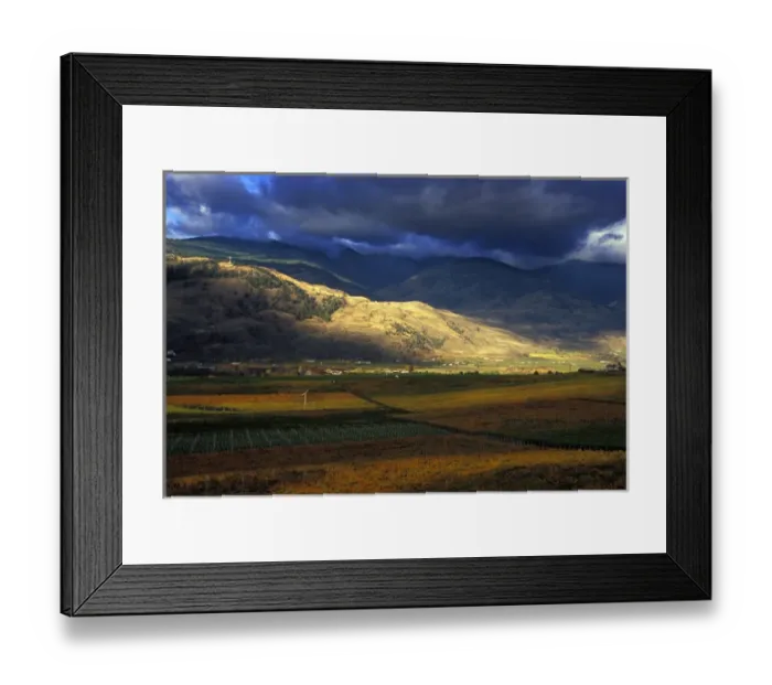 Framed Print : Stormy sky over the fall-colored vineyards of Burrowing Owl Wineryi in the Okanagan Framed Print : Stormy sky over the fall-colored vineyards of Burrowing Owl Wineryi in the Okanagan
