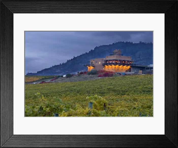 Framed Print : Stormy sky over the fall-colored vineyards and winery of Burrowing Owl Winery with Framed Print : Stormy sky over the fall-colored vineyards and winery of Burrowing Owl Winery with
