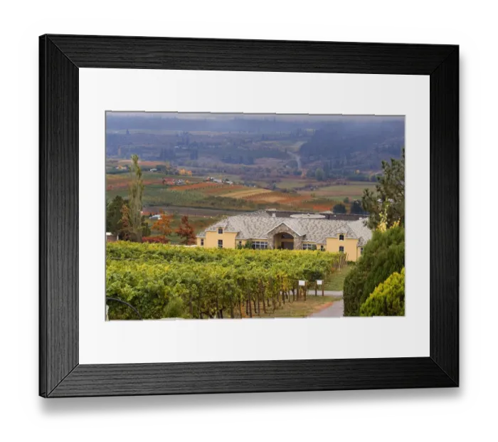 Framed Print : Tinhorn Creek Estate Winery on the foothills near the town of Oliver in the Okanagan