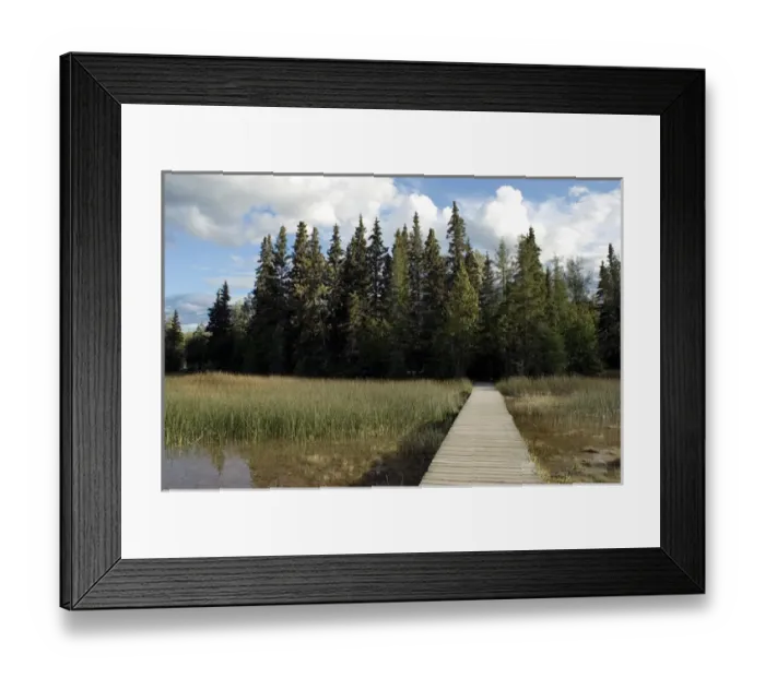 Framed Print : Boardwalk over swamps near Laird River in Hotsprings Provincial Park in British Columbia