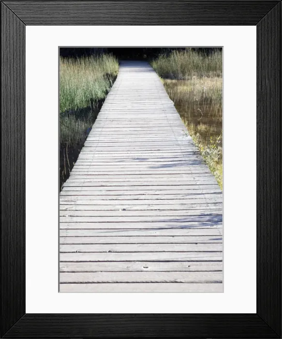 Framed Print : Boardwalk over swamps near Laird River in Hotsprings Provincial Park in British Columbia Framed Print : Boardwalk over swamps near Laird River in Hotsprings Provincial Park in British Columbia