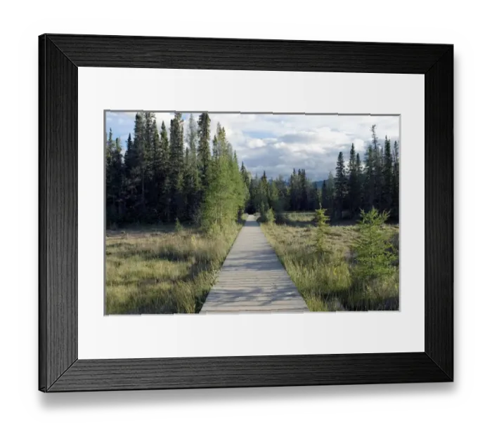 Framed Print : Boardwalk over swamps near Laird River in Hotsprings Provincial Park in British Columbia