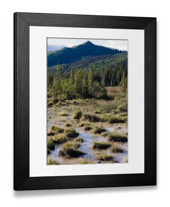 Framed Print : Swamps created by the hot springs near Laird River in Hotsprings Provincial park
