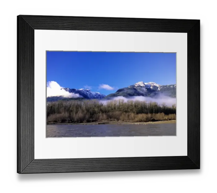 Framed Print : Eagles along British Columbia coast