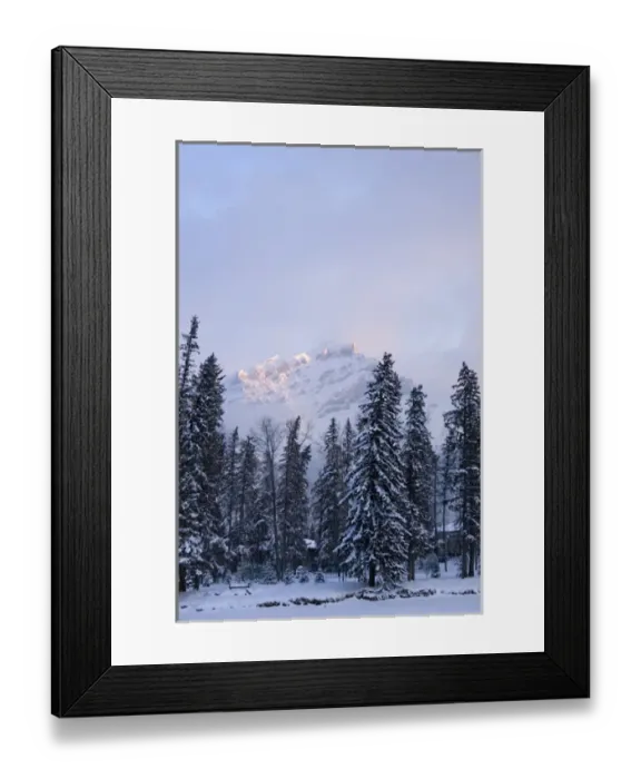 Framed Print : Canada, Banff, View of Mt. Norquay in Winter Framed Print : Canada, Banff, View of Mt. Norquay in Winter