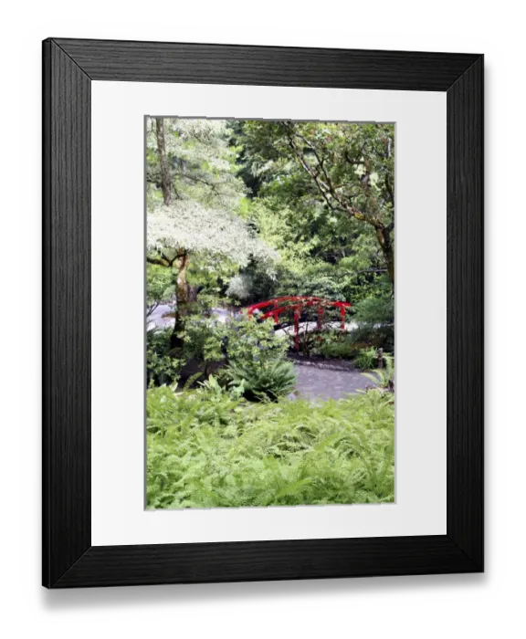 Framed Print : Red footbridge in Japanese Garden at Butchart Gardens Victoria British Columbia Canada Framed Print : Red footbridge in Japanese Garden at Butchart Gardens Victoria British Columbia Canada