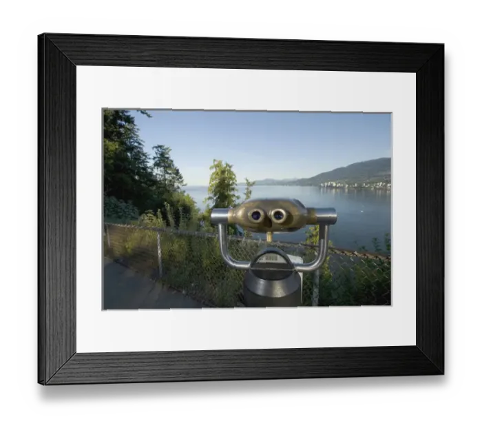 Framed Print : Sightseeing binoculars overlooking Burrard Inlet and Lions Gate Bridge from Prospect Point Framed Print : Sightseeing binoculars overlooking Burrard Inlet and Lions Gate Bridge from Prospect Point