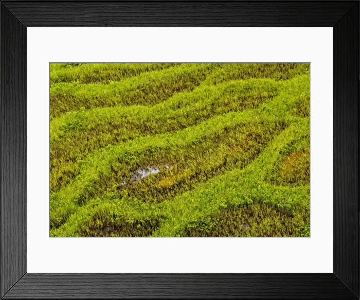 Framed Print : Wetlands in the headwaters of the Skeena River, Sacred Headwaters, British Columbia Framed Print : Wetlands in the headwaters of the Skeena River, Sacred Headwaters, British Columbia