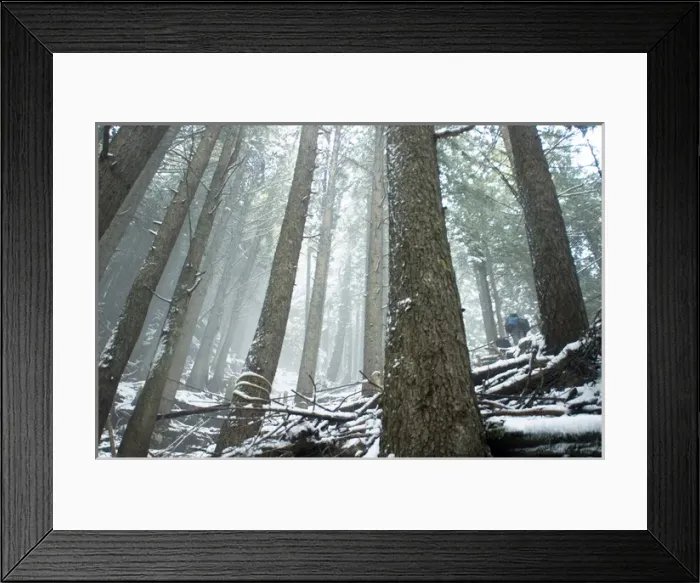 Framed Print : Hiker on Grouse Grind, Grouse Mountain, North Vancouver, British Columbia Framed Print : Hiker on Grouse Grind, Grouse Mountain, North Vancouver, British Columbia