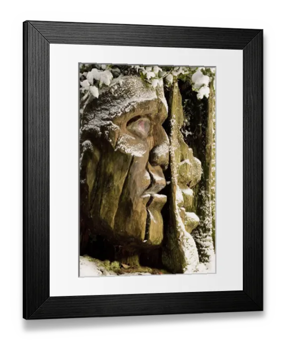Framed Print : Carving, Stanley Park, British Columbia (Artist Unknown)
