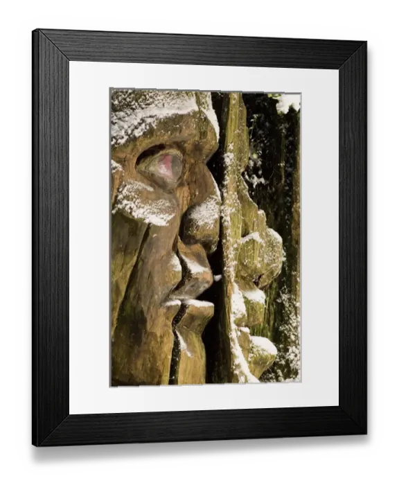 Framed Print : Carving, Stanley Park, British Columbia (Artist Unknown)