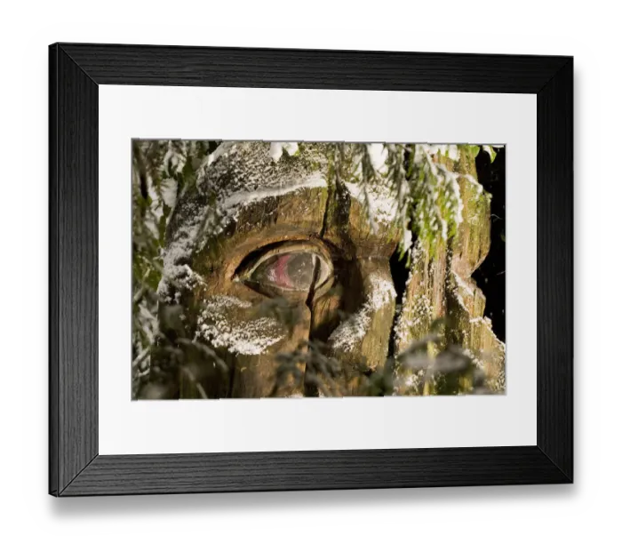 Framed Print : Carving, Stanley Park, British Columbia (Artist Unknown)