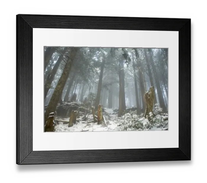 Framed Print : Grouse Mountain, North Vancouver, British Columbia Framed Print : Grouse Mountain, North Vancouver, British Columbia