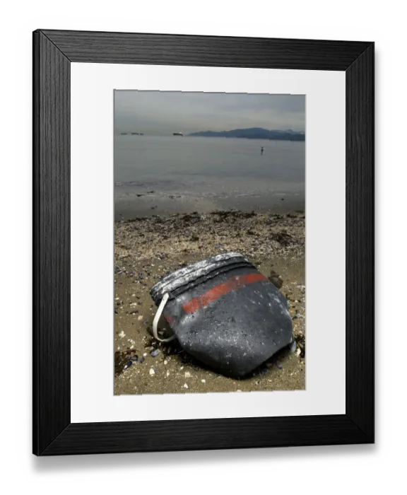 Framed Print : Pollution, Stanley Park, British Columbia Framed Print : Pollution, Stanley Park, British Columbia
