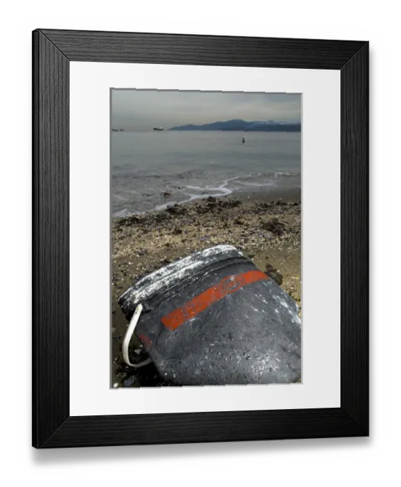 Framed Print : Pollution, Stanley Park, British Columbia Framed Print : Pollution, Stanley Park, British Columbia