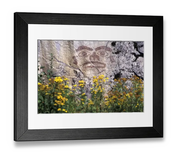 Framed Print : North America, Canada, British Columbia, Prince Rupert. Pictograph and yellow flowers