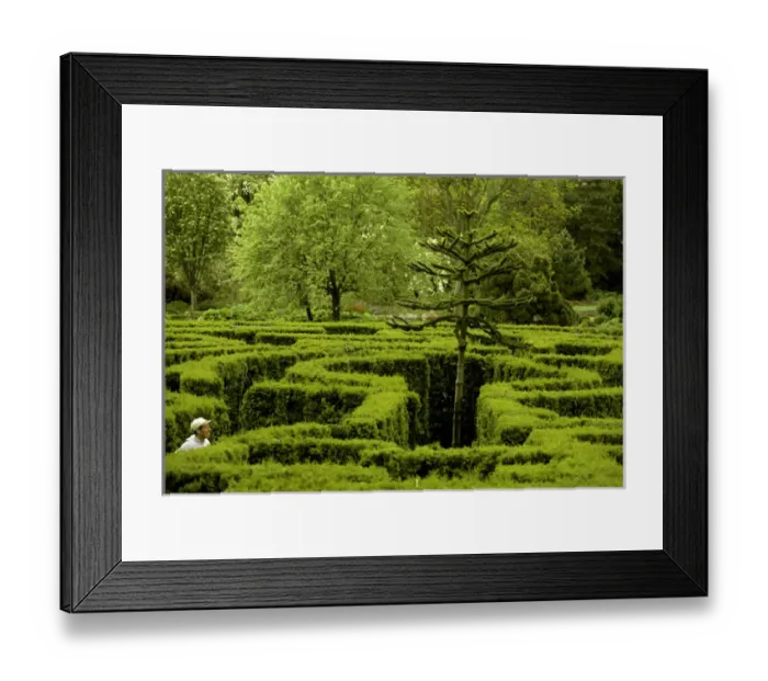 Framed Print : Vancouver, British Columbia, Canada Framed Print : Vancouver, British Columbia, Canada