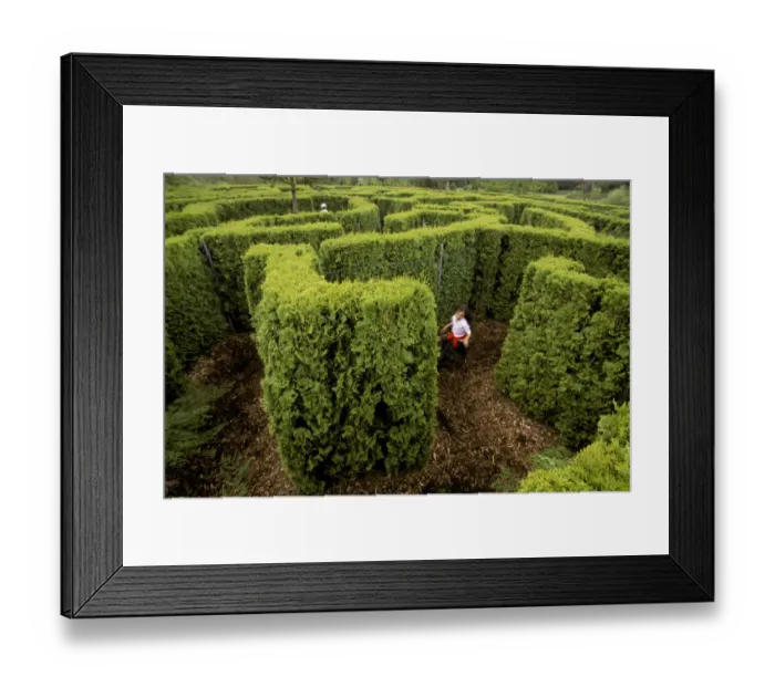 Framed Print : Vandusen Botanical Gardens, Vancouver, British Columbia, Canada Framed Print : Vandusen Botanical Gardens, Vancouver, British Columbia, Canada