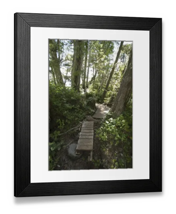 Framed Print : Scenes from Xusela, Bramham Island, British Columbia, Canada, August 2006