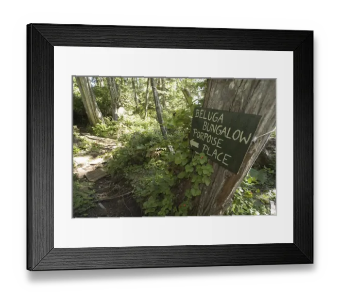 Framed Print : Scenes from Xusela, Bramham Island, British Columbia, Canada, August 2006 Framed Print : Scenes from Xusela, Bramham Island, British Columbia, Canada, August 2006