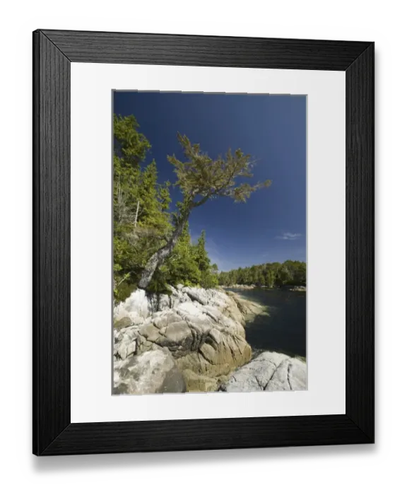Framed Print : Afternoon at Skull Cove, Bramham Island, British Columbia, Canada, August 2006