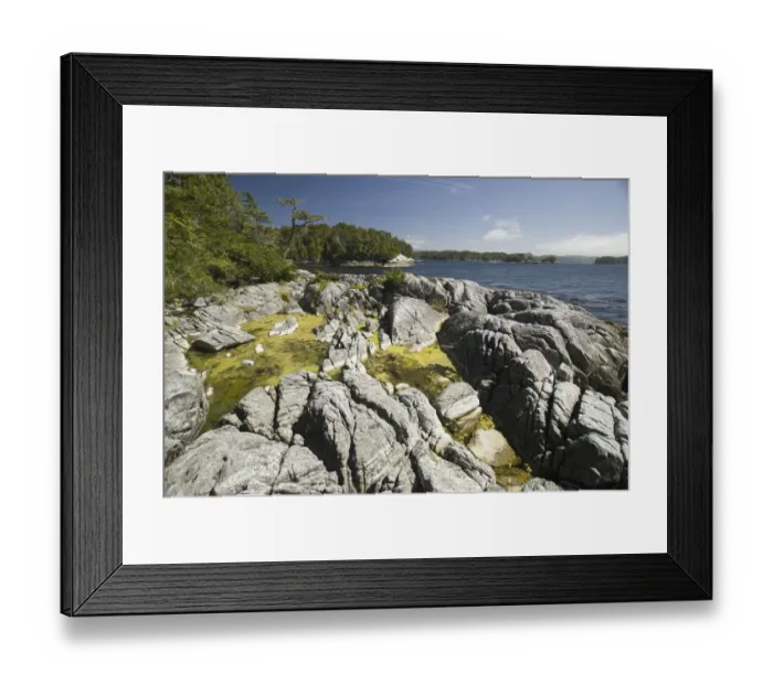 Framed Print : Afternoon at Skull Cove, Bramham Island, British Columbia, Canada, August 2006
