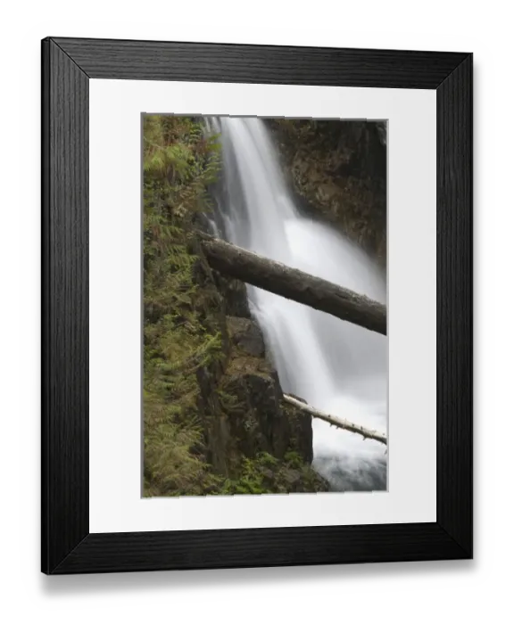 Framed Print : Upper Falls, Little Qualicum Falls Provincial Park, Vancouver Island, British Columbia Framed Print : Upper Falls, Little Qualicum Falls Provincial Park, Vancouver Island, British Columbia