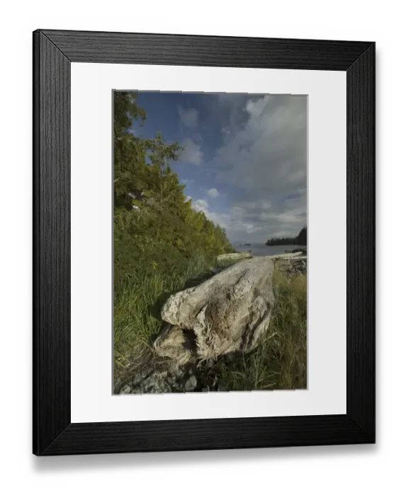 Framed Print : Keith Island, Broken Island Group, Pacific Rim National Park Preserve, British Columbia Framed Print : Keith Island, Broken Island Group, Pacific Rim National Park Preserve, British Columbia