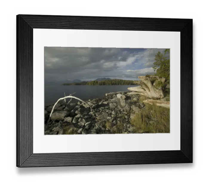 Framed Print : Keith Island, Broken Island Group, Pacific Rim National Park Preserve, British Columbia Framed Print : Keith Island, Broken Island Group, Pacific Rim National Park Preserve, British Columbia