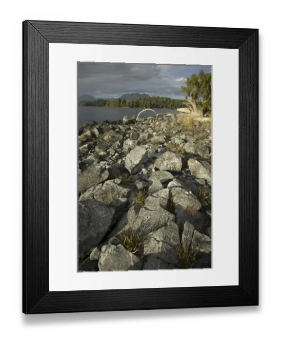 Framed Print : Keith Island, Broken Island Group, Pacific Rim National Park Preserve, British Columbia Framed Print : Keith Island, Broken Island Group, Pacific Rim National Park Preserve, British Columbia