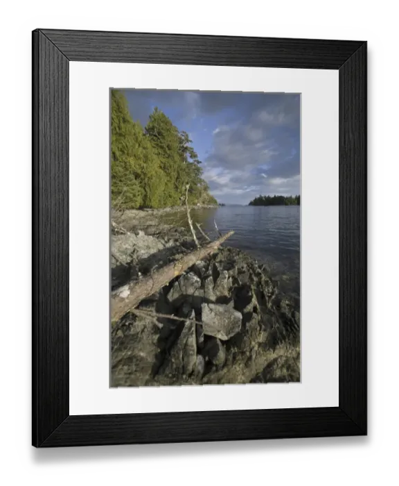 Framed Print : Keith Island, Broken Island Group, Pacific Rim National Park Preserve, British Columbia Framed Print : Keith Island, Broken Island Group, Pacific Rim National Park Preserve, British Columbia