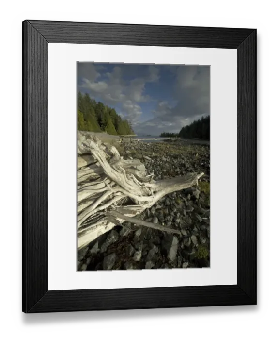 Framed Print : Keith Island, Broken Island Group, Pacific Rim National Park Preserve, British Columbia