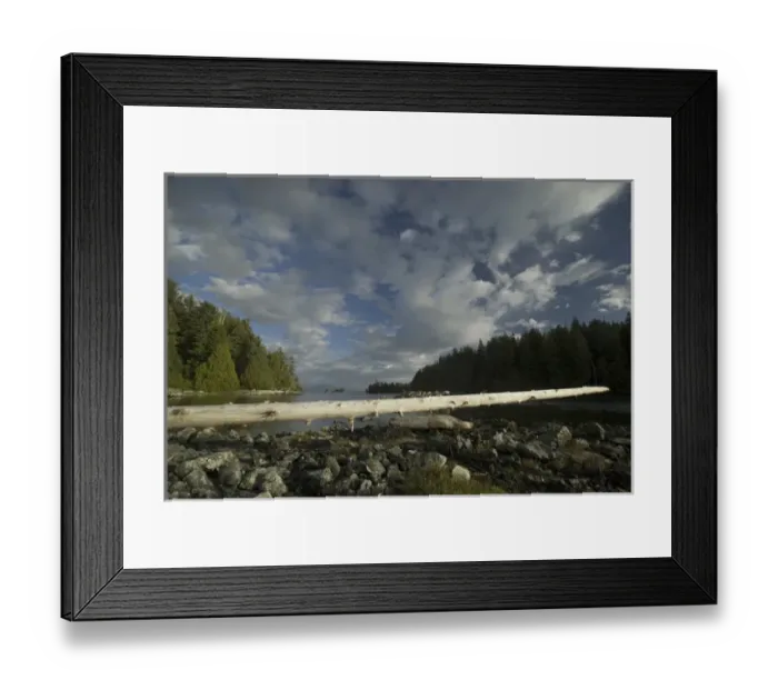 Framed Print : Keith Island, Broken Island Group, Pacific Rim National Park Preserve, British Columbia Framed Print : Keith Island, Broken Island Group, Pacific Rim National Park Preserve, British Columbia