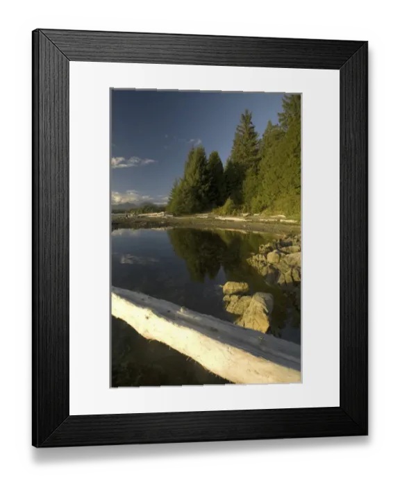 Framed Print : Keith Island, Broken Island Group, Pacific Rim National Park Preserve, British Columbia Framed Print : Keith Island, Broken Island Group, Pacific Rim National Park Preserve, British Columbia